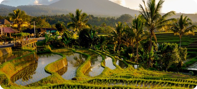 Убуд (Ubud)