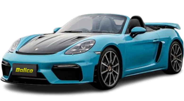 Porsche GT4