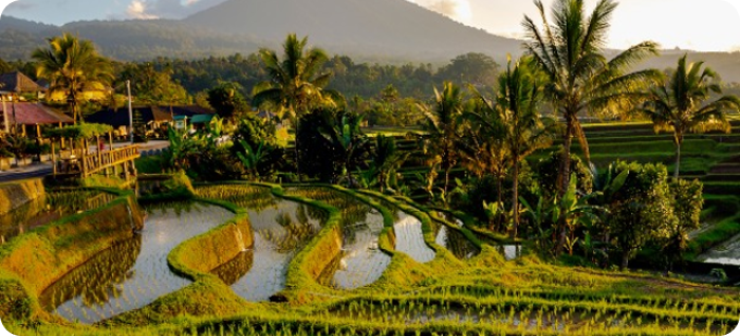 Ubud